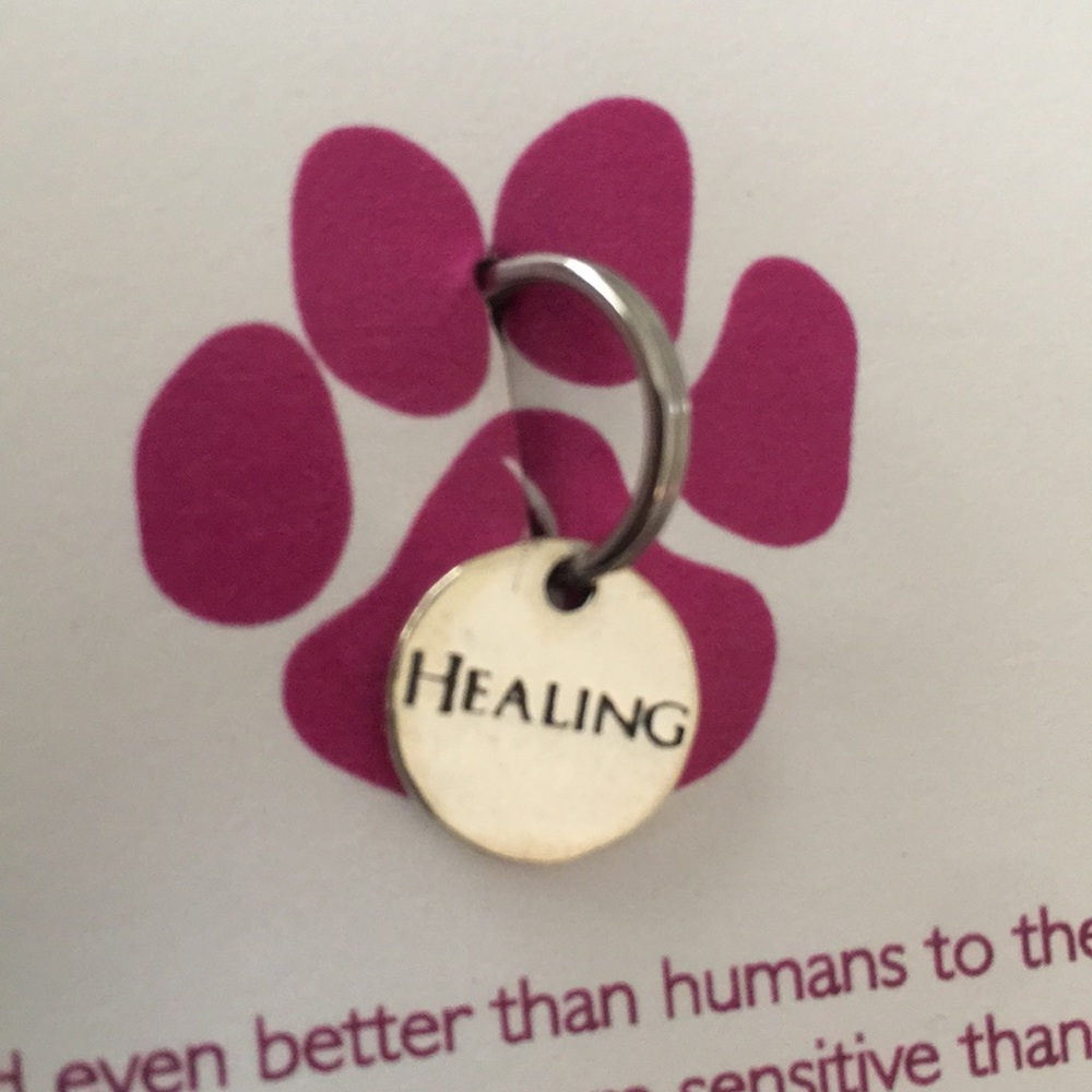 Healing Energy High Chi Pet Charm “Healing” NWT
